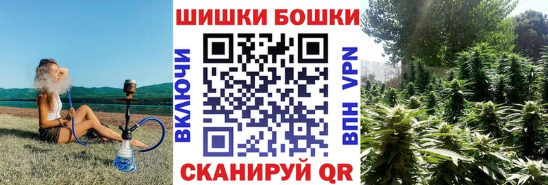 закладки  Пионерский  Каннабис индика 